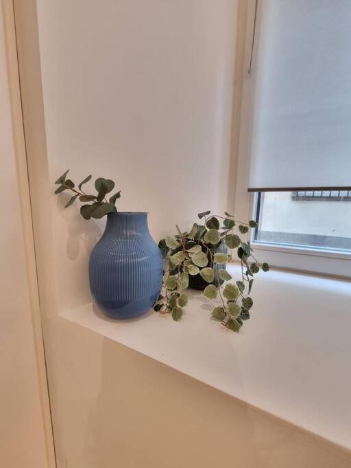Les Appartements Hyper Centre ストラスブール エクステリア 写真