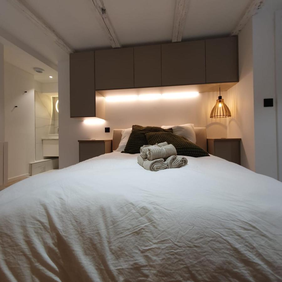 Les Appartements Hyper Centre ストラスブール エクステリア 写真