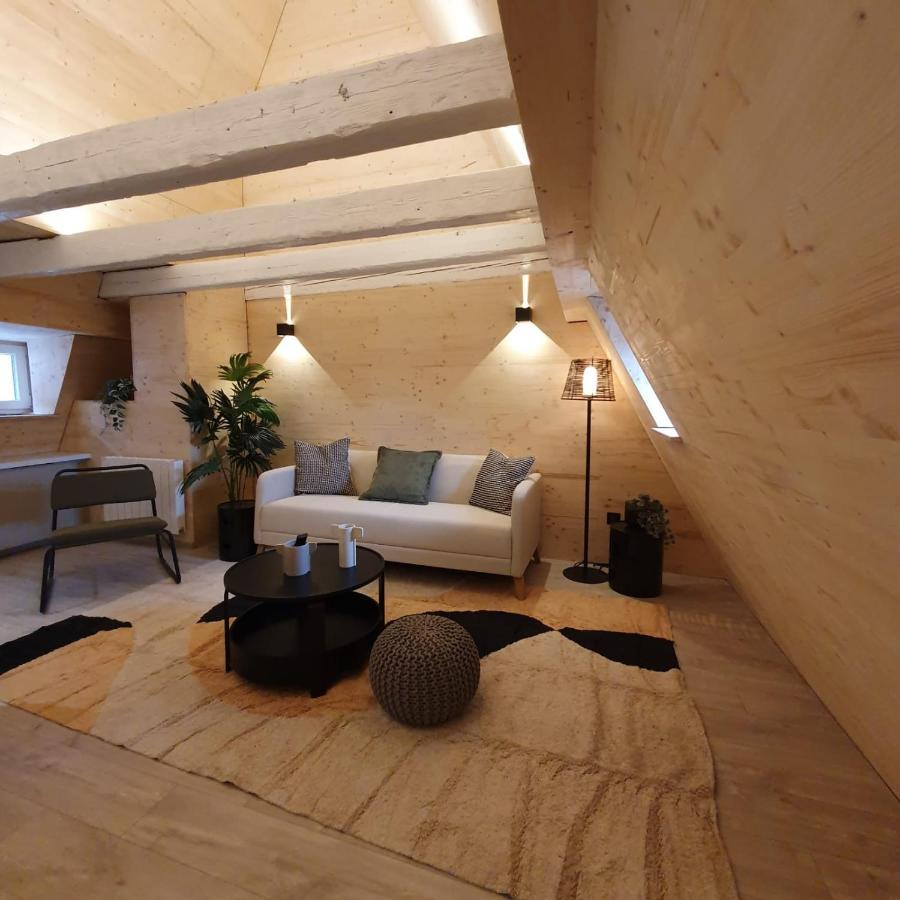 Les Appartements Hyper Centre ストラスブール エクステリア 写真