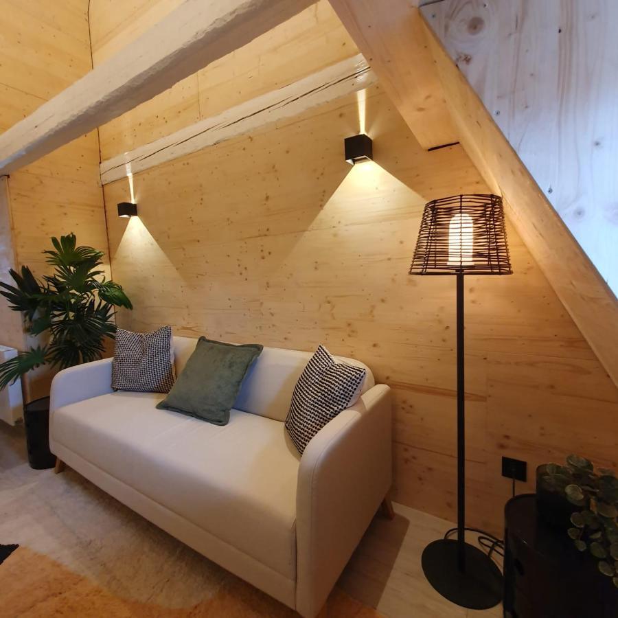 Les Appartements Hyper Centre ストラスブール エクステリア 写真