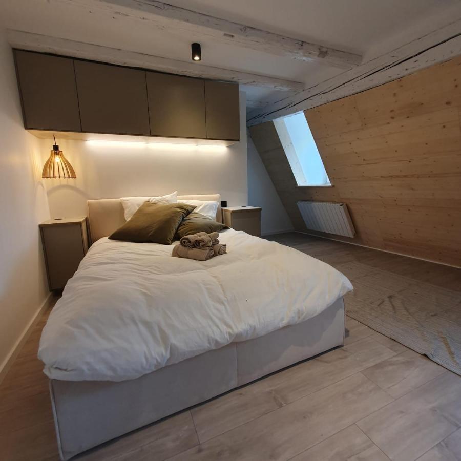 Les Appartements Hyper Centre ストラスブール エクステリア 写真