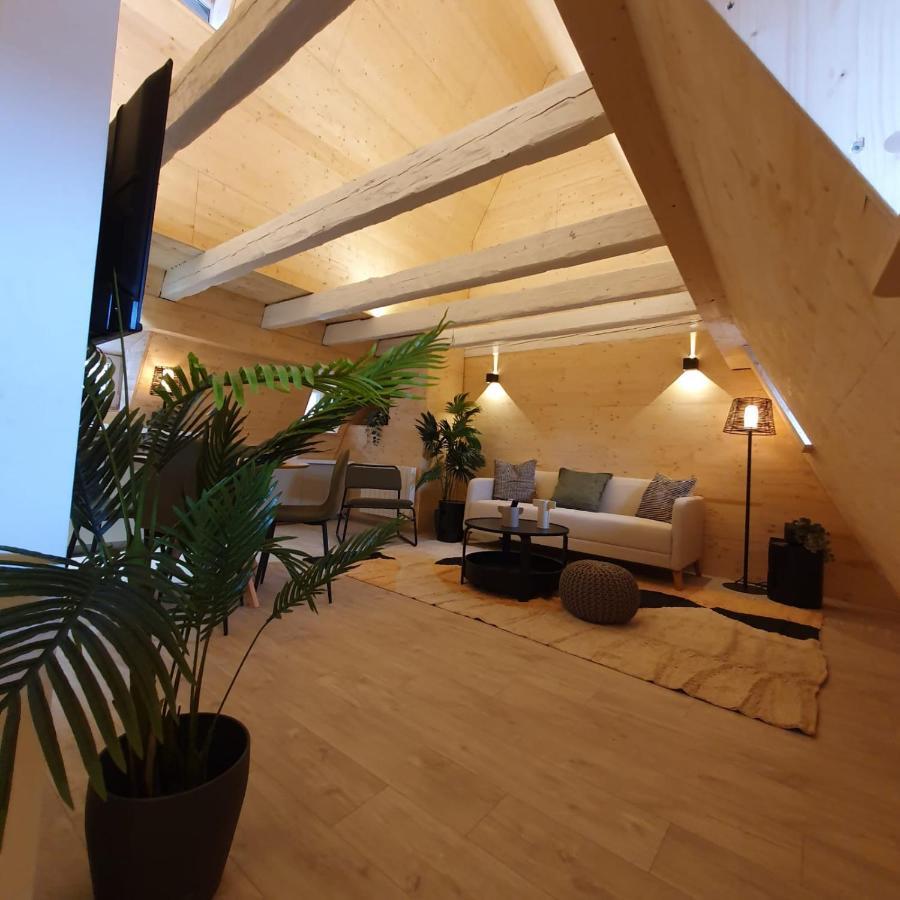 Les Appartements Hyper Centre ストラスブール エクステリア 写真