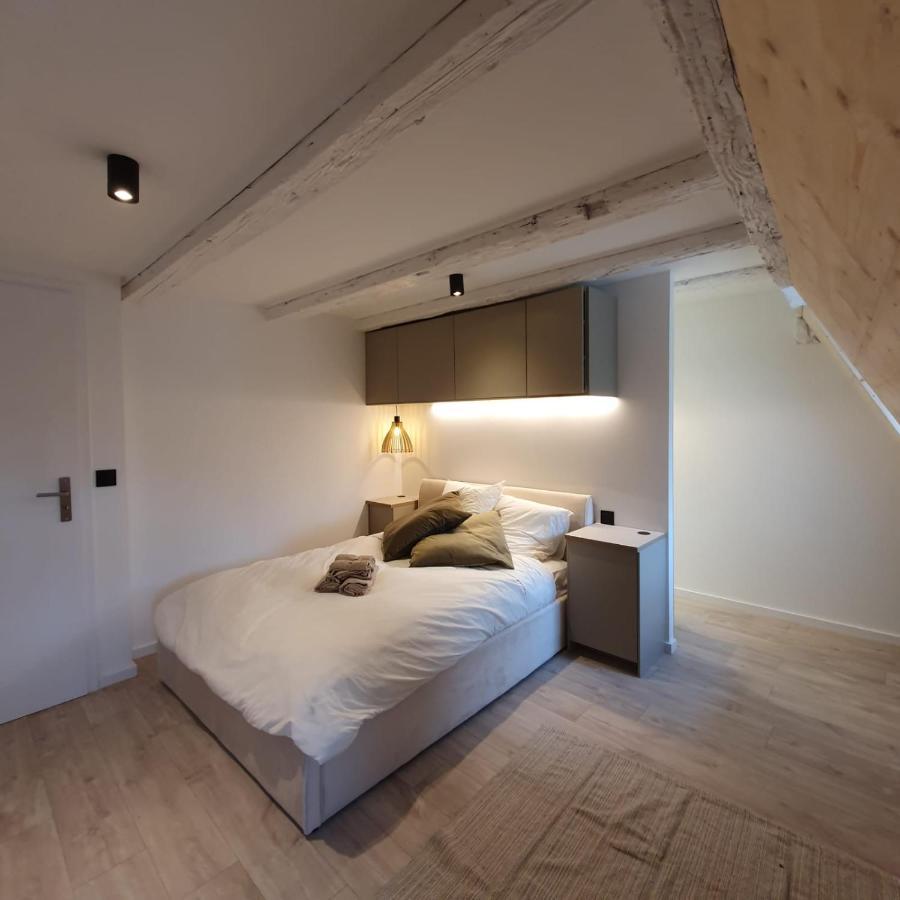 Les Appartements Hyper Centre ストラスブール エクステリア 写真
