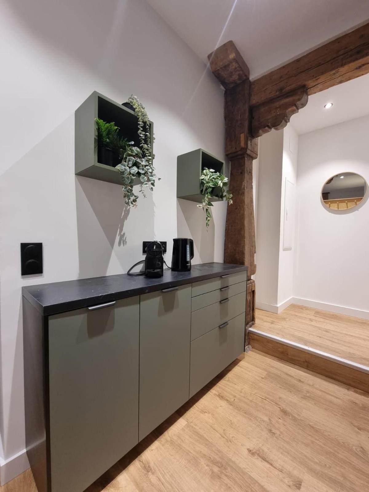 Les Appartements Hyper Centre ストラスブール エクステリア 写真